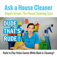 Video Games - Rude to Play While Maid is Cleaning?
