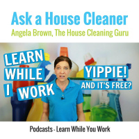 Podcasts - Learn While You Clean