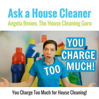 You Charge Too Much For House Cleaning