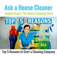 Top 5 Reasons to Start a House Cleaning Business