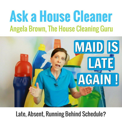Ask A House Cleaner | Angela Brown | Savvy Cleaner | House Cleaning Tips