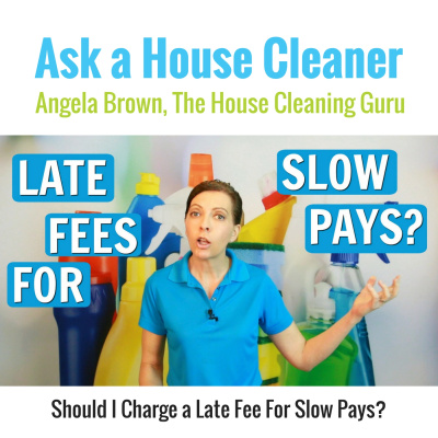 Ask A House Cleaner | Angela Brown | Savvy Cleaner | House Cleaning Tips