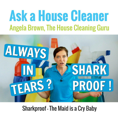 Ask A House Cleaner | Angela Brown | Savvy Cleaner | House Cleaning Tips