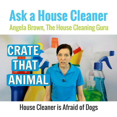 Ask A House Cleaner | Angela Brown | Savvy Cleaner | House Cleaning Tips