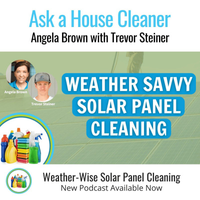 Ask A House Cleaner | Angela Brown | Savvy Cleaner | House Cleaning Tips