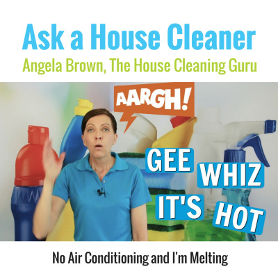 Ask A House Cleaner | Angela Brown | Savvy Cleaner | House Cleaning Tips