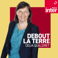 La COP30 sauvera-t-elle la forêt ? 