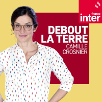 Comment lhécatombe de vautours en Inde provoque des morts humaines