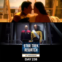 Day 238: Non Sequitor / The Way of the Warrior