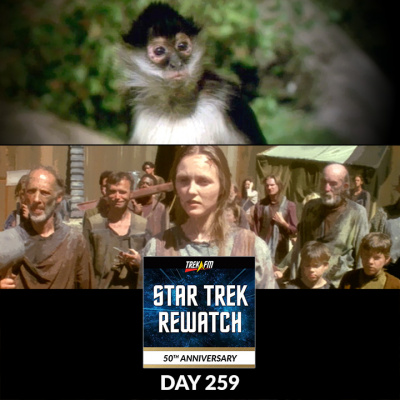 From There To Here: The Star Trek 50th Anniversary Rewatch