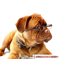 6 Favorite Brands of 2017 - Brands of Africa