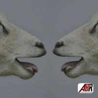 Communication Planning in Branding And Marketing