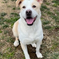 The Mason Jar Cafes Furry Friends Friday featuring Anita!