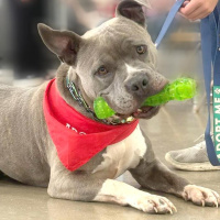 The Mason Jar Cafes Furry Friends Friday featuring Rich! 