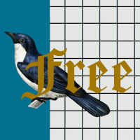 Audio Podcast #159 // Open Topic // Frei von Angst // 09.06.2019