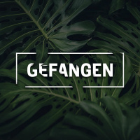 Audio Podcast #206 // Gefangen - Freiheit von Lebenslügen // 07.06.2020