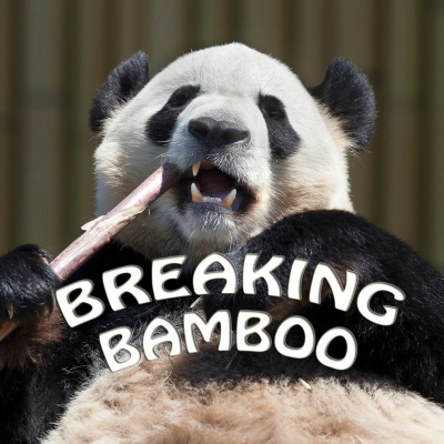 Breaking Bamboo