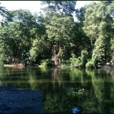 Alexandre Costas Posts