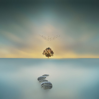 On Living Simply - Announcing Winter Bible Study Courses