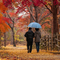 10000 Pasos por dia: Verdad o mentira de los Smartwatches