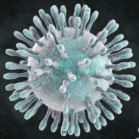 Coronavirus: ¡Todos vamos a morir!