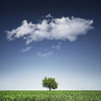 Nubes públicas vs Nubes privadas