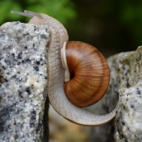 Esfuerzate, aprende, se creativo.