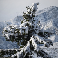 Winter Storm Could Bring Much Needed Snow to Sierra Mountains