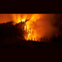Fire Danger Higher Than Normal In Northern, Central California