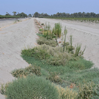 Groundwaters Importance in California and the Plans for Sustainability