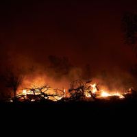 PGE Charged With Manslaughter in Deadly 2020 Zogg Fire