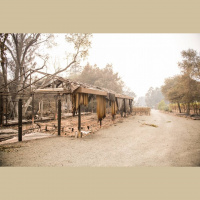 Record Four Million Acres Burned in California, With Months of Fire Season Remaining