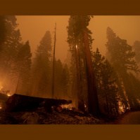 Study Finds Climate Change is Primary Source Behind Increasing Western Wildfires