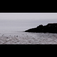 Historic Sea Level Rise Predicted in U.S. Over Next 30 Years