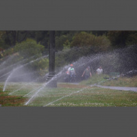 Governor Newsom Orders Additional Water Restictions 