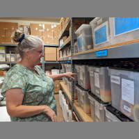 Voter Integrity Groups Question Residents At Home In Possible Voter Intimidation  