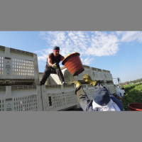 Who Should Be Prioritized for the Coronavirus Vaccine?