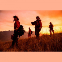 President Trump Expected to Visit California as Wildfires Rage