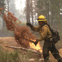 Years of Preparation Help Save Some Communities From Caldor Fire