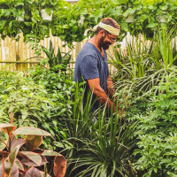 Has the Campaign to Support Black Businesses Faded? 