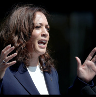 Recent Criticism of Vice President Kamala Harris May Not Tell the Whole Story