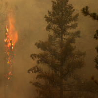 More Evacuations Ordered as Crews Battle Challenging Conditions in Fighting Dixie Fire