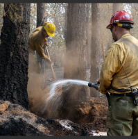 Change In Weather Sparks Activity On Front Lines Of Mosquito Fire 