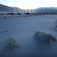 Federal Government to Open California Coastline for Offshore Wind Farms