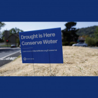 Dry January Leads to Shrinking Snowpack