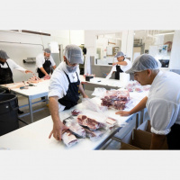 Hundreds of Thousands of COVID-19 Cases Linked to Meatpacking Plants