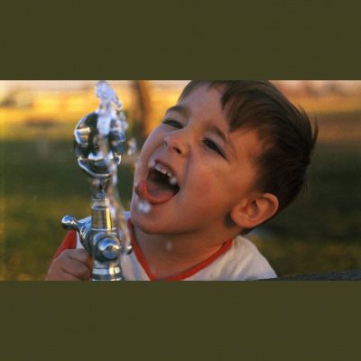 Kqeds The California Report