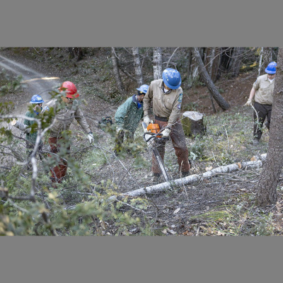 Kqeds The California Report