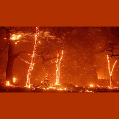 Kqeds The California Report