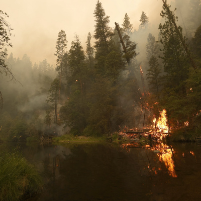 Kqeds The California Report